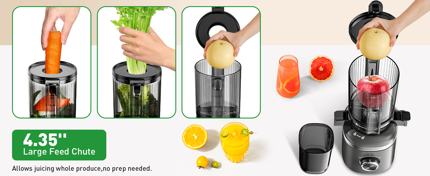 Slow Cold Press Juicer
