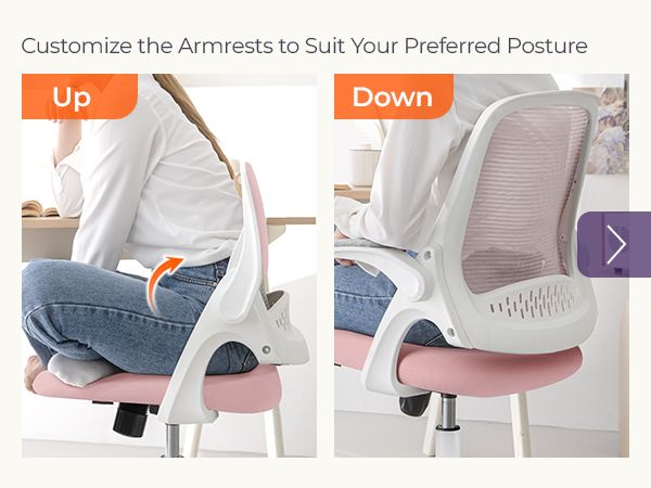 Desk Chair with Customizable Armrests