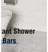 handicap grab bars