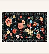GRANNY SAYS Front Door Mat Indoor Entrance, Indoor Doormat, 2x3 Washable Profile Entryway Mats, S...