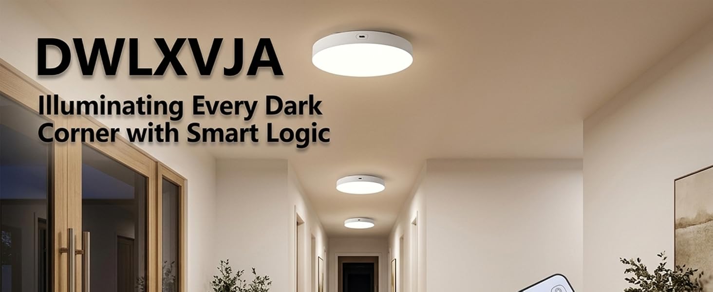motion sensor ceiling light