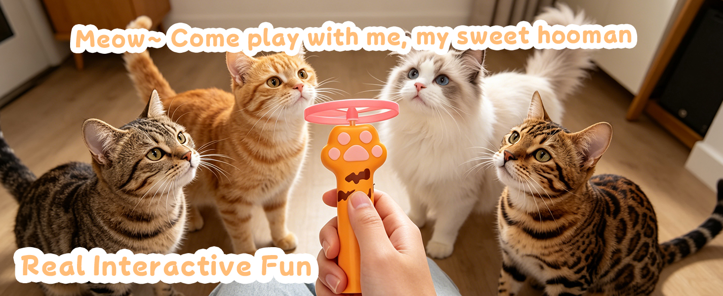 Real Interactive Fun