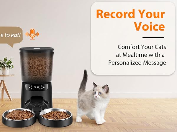 double cat feeder