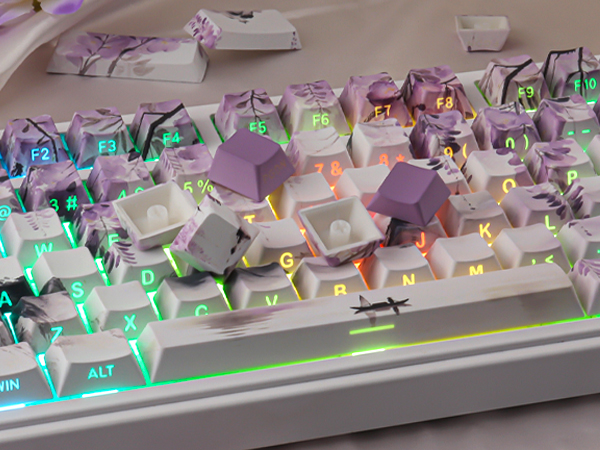 Wisteria Purple Shine Through Keycaps