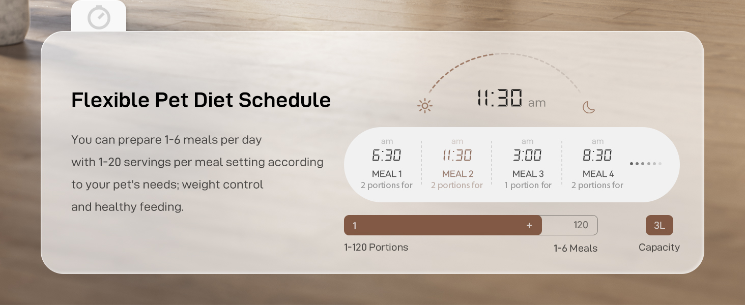 automatic cat feeders