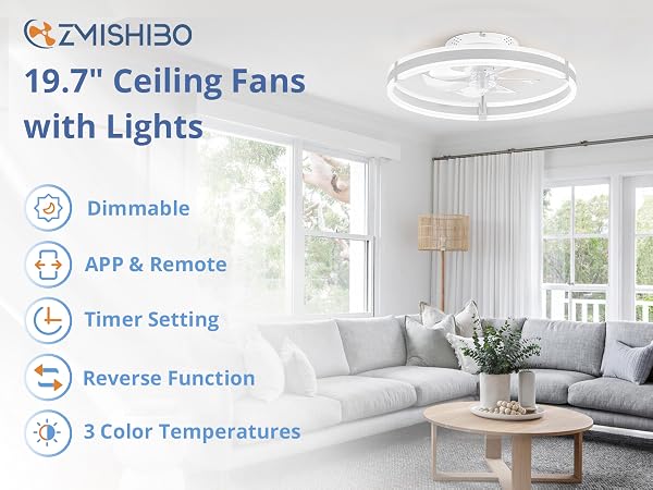 Ceiling Fans with Lights