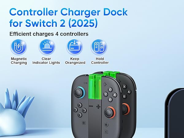 Switch 2 Charger 