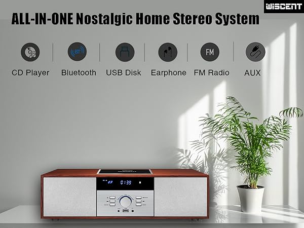 ALL-IN-ONE Nostalgic Home Stereo System