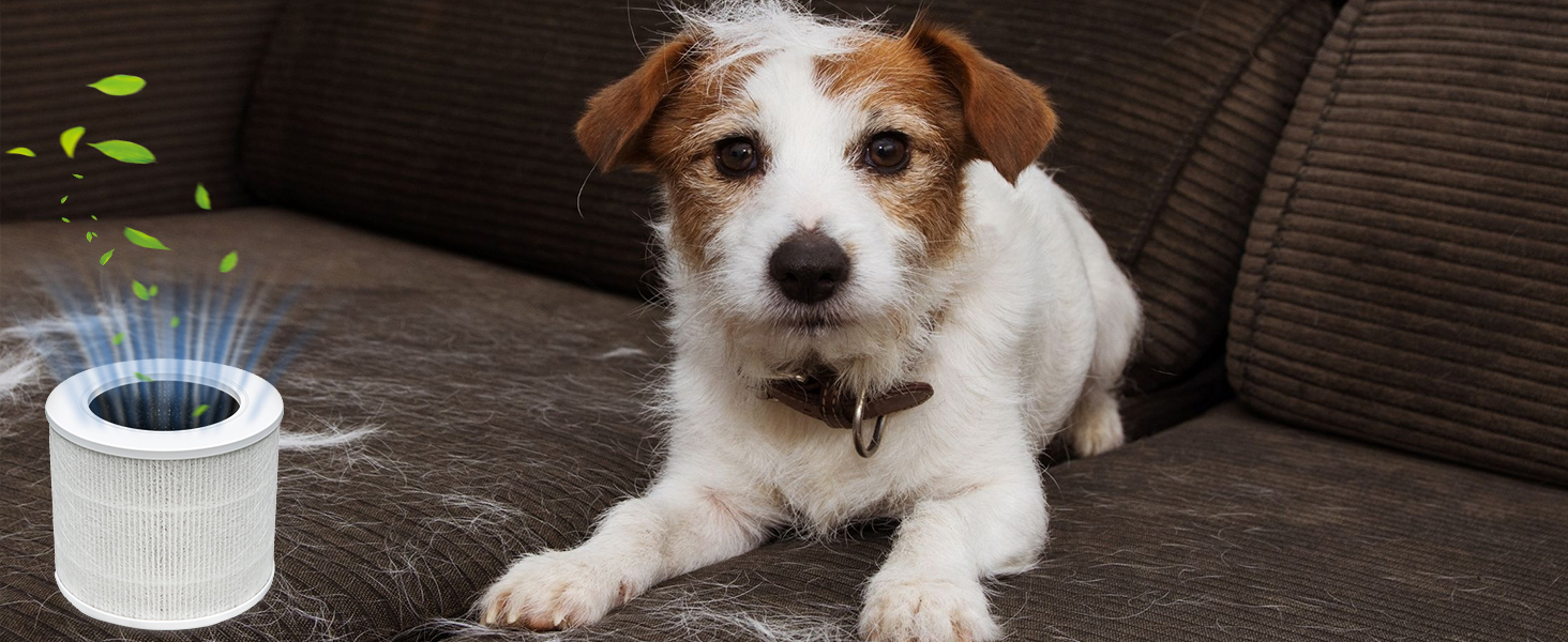 LQ-Mini-AA1464-02AAA