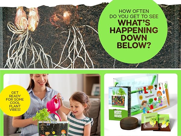 kids Root Viewer 