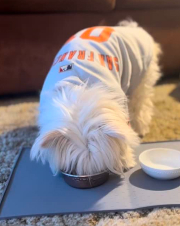 Dog Food Mat