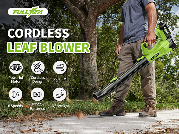 FULLYEA Cordless Leaf Blower 650 CFM/180 MPH, 6 Speed Modes