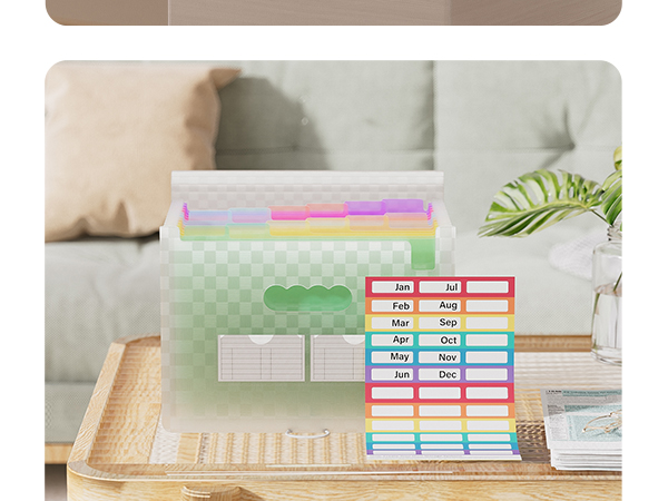 ThinkTex Accordion File Organizer, 12 - Pocket Expanding File Folders 