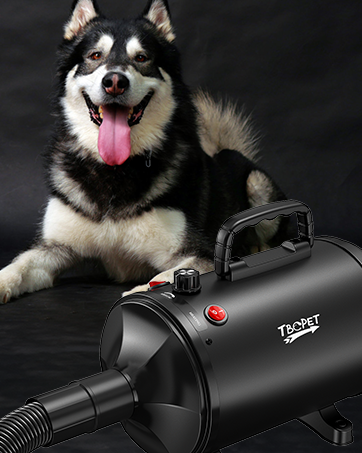 dog dryer for large dogs flying pig pet dryer dog blower hair dryer for dogs