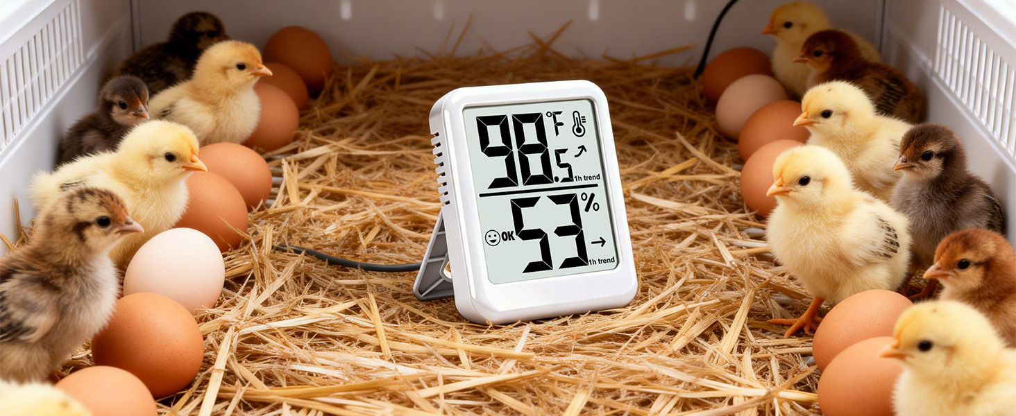 Indoor Hygrometer for Home