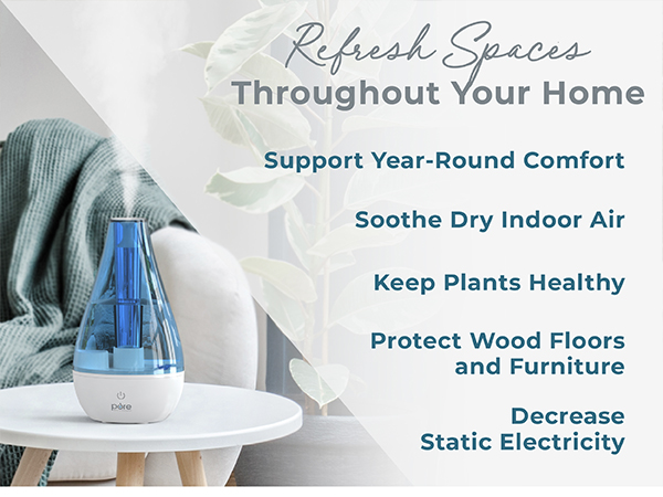 refresh spaces throughout your home year round comfort sooth dry indoor air keep plants healthy