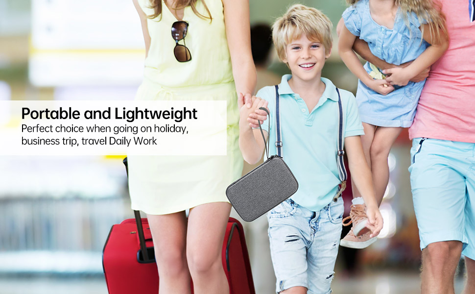 electronic accessories carrying case