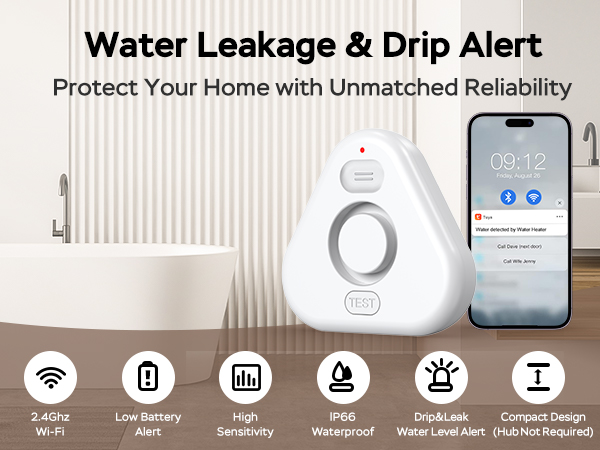 smart leak detector