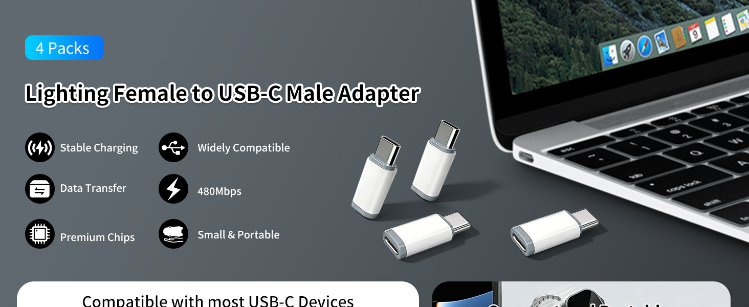 Light-ning to USB C Adapter