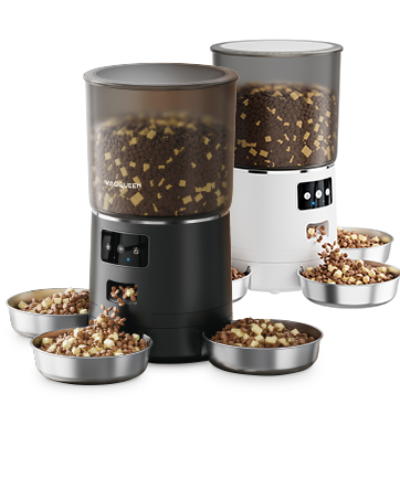 automatic dog feeder