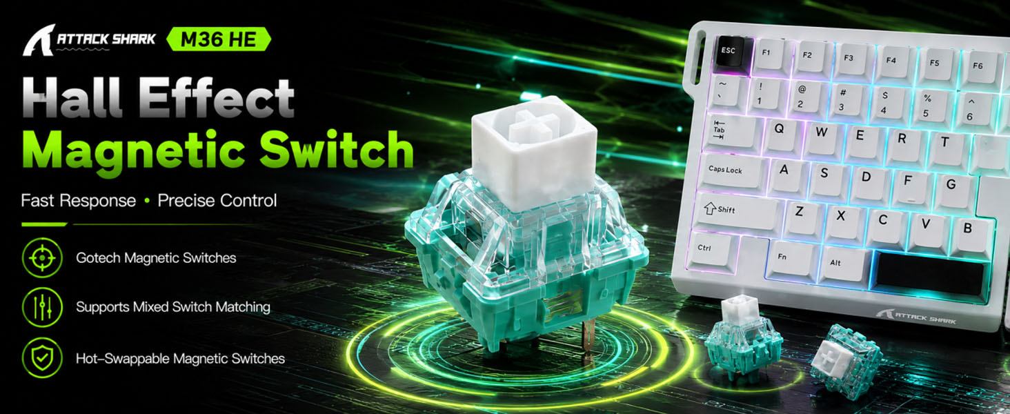 Magnetic Switch
