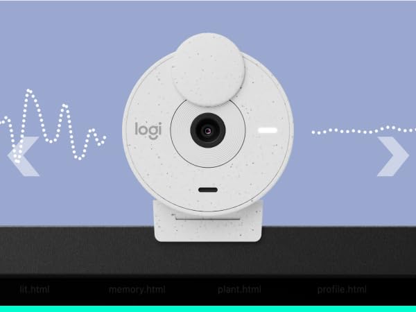 brio 300 hd 1080p webcam