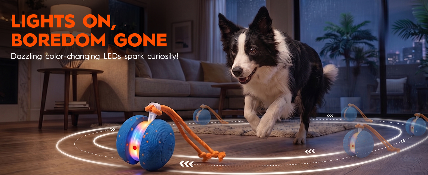 Interactive Rolling Dog Balls