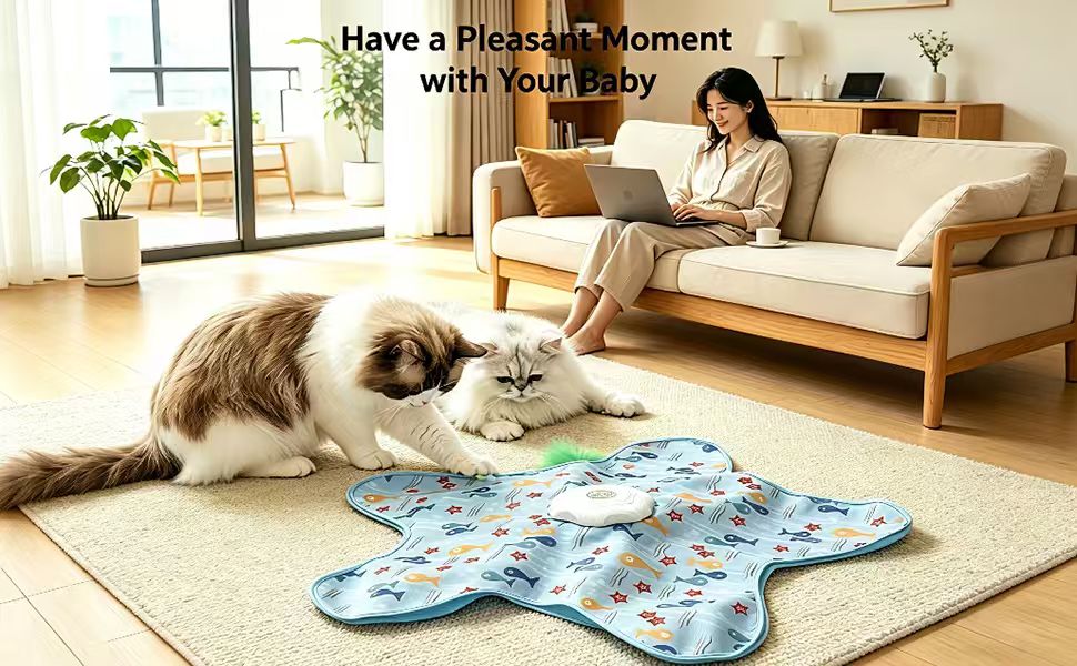 cat toy