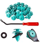 FEBRYTOLD 100Pcs Trim Door Panel Retainer Clips, Car Push Fastener Clips, Door Trim Clips for Toy...