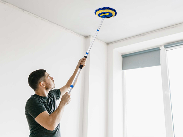 wall mop
