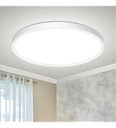 Peasur Flush Mount Ceiling Light