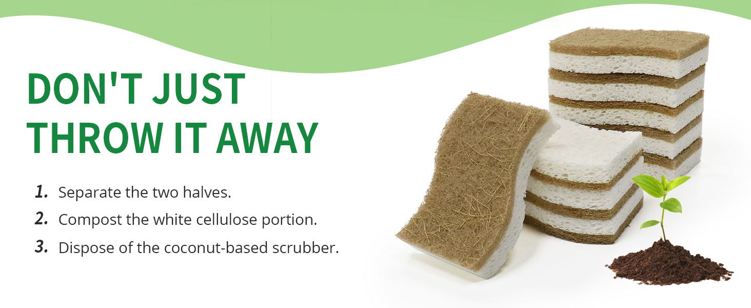 dish sponges