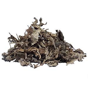 The legend of mugwort leaf healing function