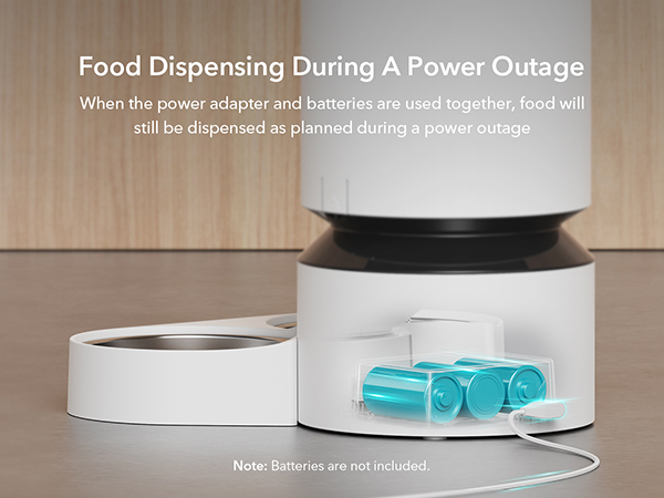 automatic cat feeder