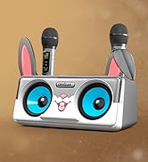 mic and speaker portable karoke machine with bluetooth and wireless microphone for adults