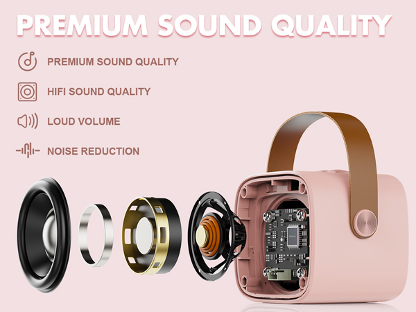 Mini Karaoke Machine Good Sound Quality