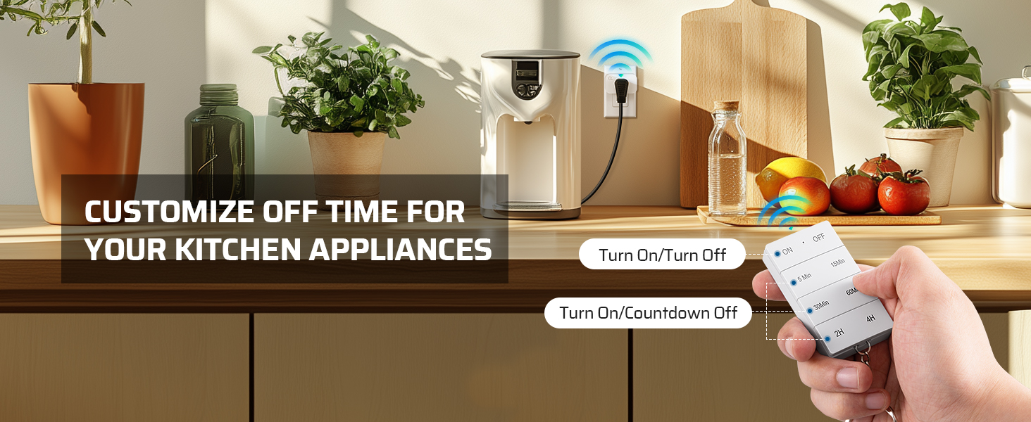 remote outlet with timer