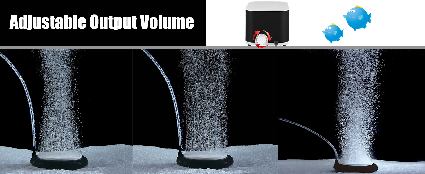 Adjustable output volume