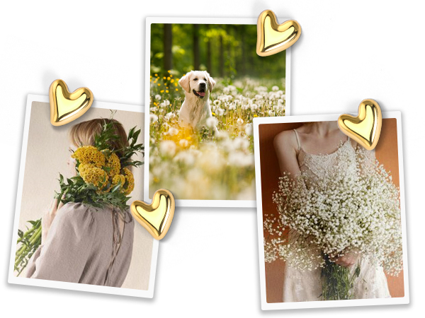 thumb tacks for wall