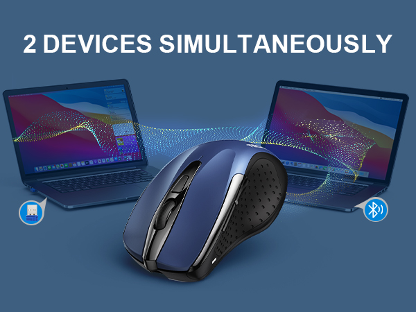 mouse