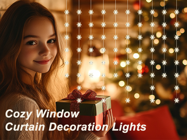 Christmas decoration fairy lights