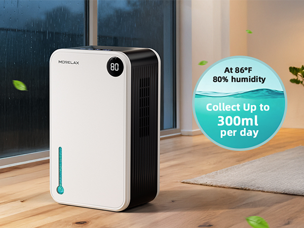 home Dehumidifier