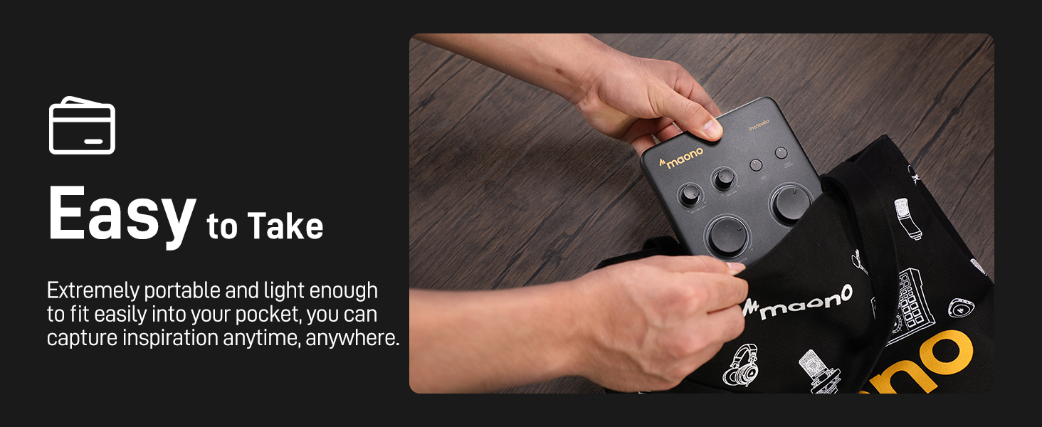 USB Audio Interface PS22 Lite