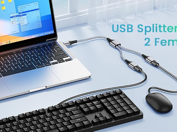 USB Splitter 1 to 2