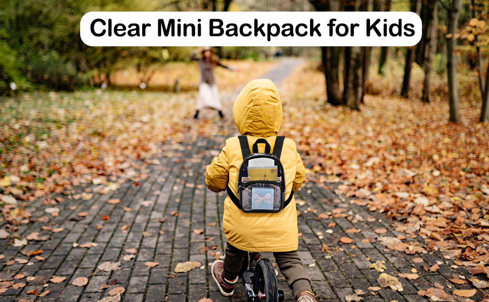 Mini Clear Backpack