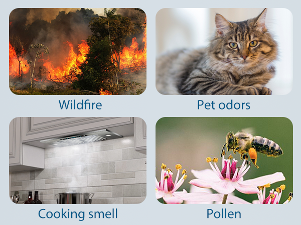 air purifier for home