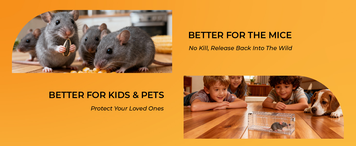 humane mice traps for indoor