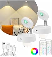 Wireless LED Spotlight Indoor with Remote: Rechargeable Mini Spot Lights for Picture Art Display ...