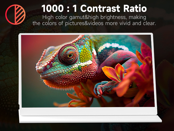 AYY Portable Monitor for Laptop