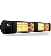 Dr. Infrared Heater 10,260 BTU Infrared Heater, Indoor and Outdoor Heater for Patio, Garage, Comm...